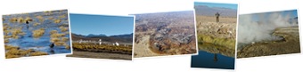 View Atacama Tours Geiseres del Tatio y Laguna Cejar